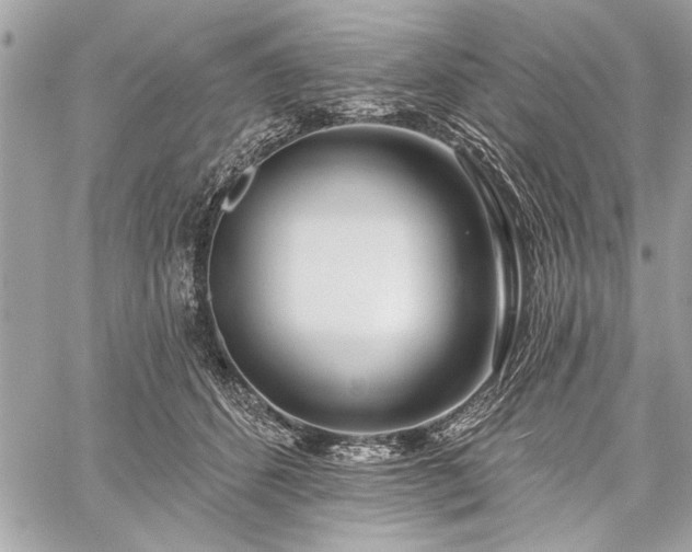 X0000060240512200510281122