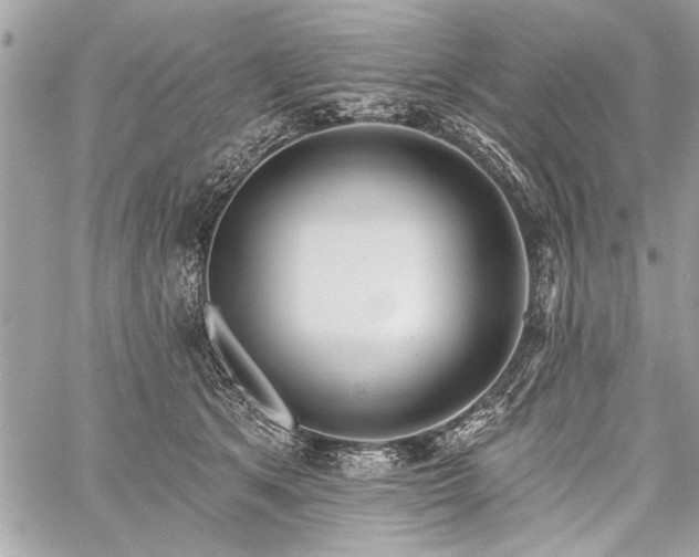 X0000060240513200510281122