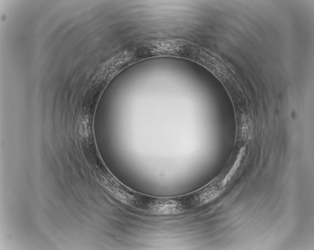 X0000060240514200510281122