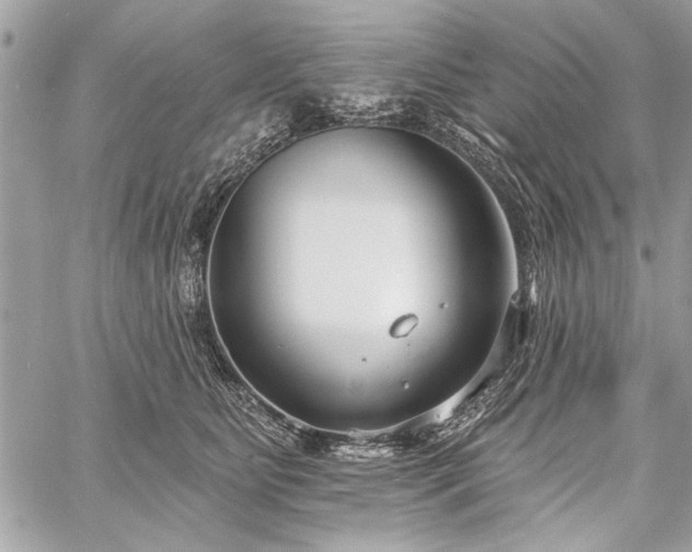 X0000060240515200510281122