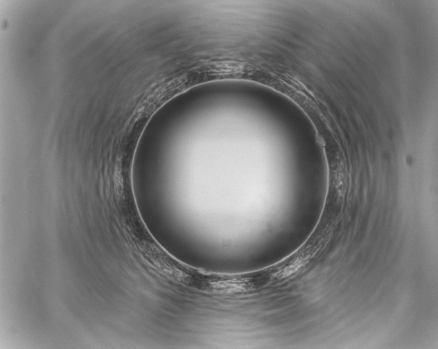 X0000060240516200510281122