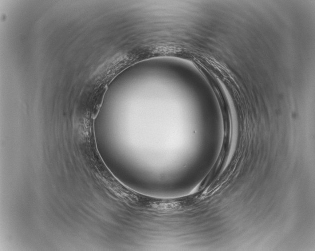 X0000060240517200510281122