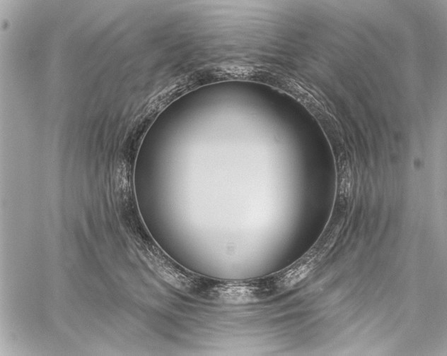 X0000060240518200510281122