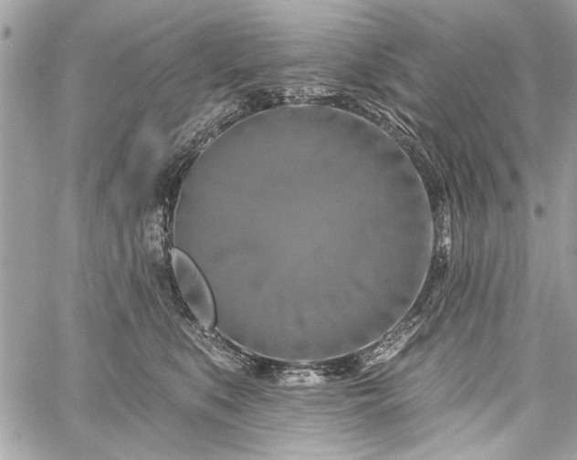 X0000060240519200510281122