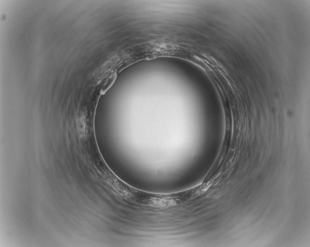 X0000060240520200510281122