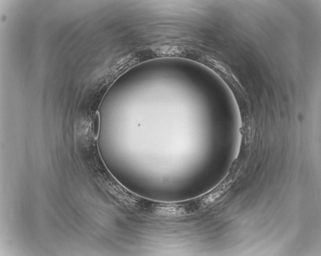 X0000060240521200510281122