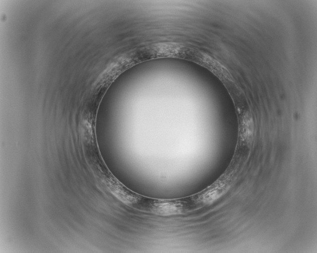 X0000060240522200510281122