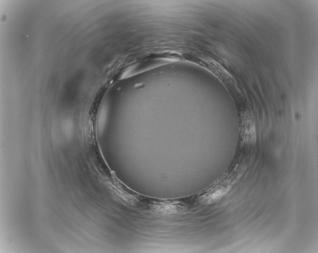 X0000060240523200510281122