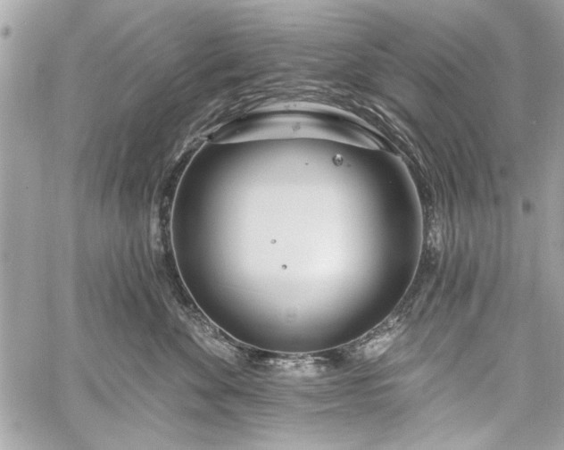 X0000060240524200510281122