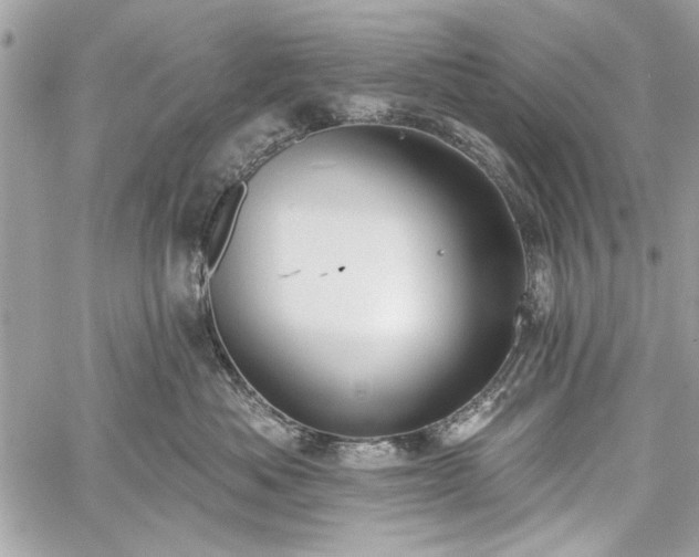 X0000060240525200510281122