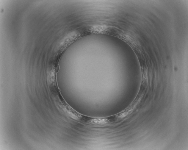 X0000060240526200510281122