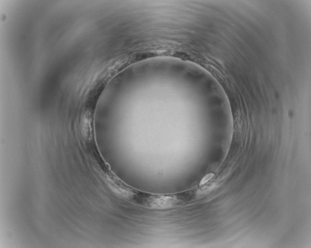 X0000060240527200510281122