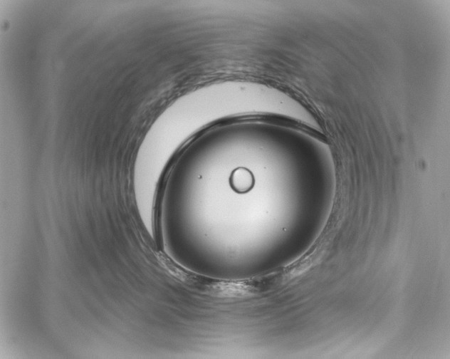 X0000060240528200510281122