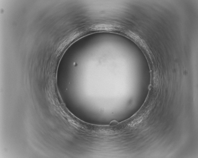 X0000060240529200510281121