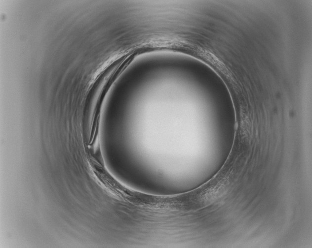 X0000060240530200510281121