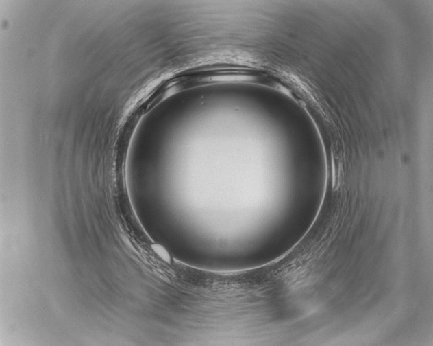 X0000060240531200510281121