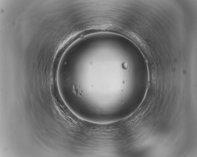 X0000060240532200510281121