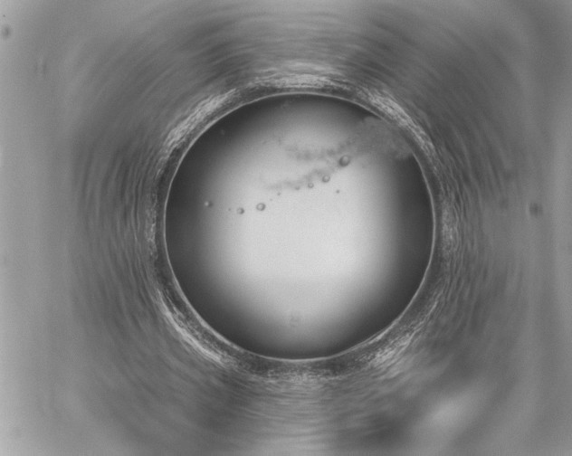 X0000060240533200510281121