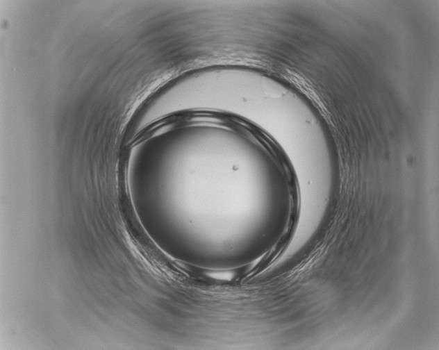 X0000060240534200510281121