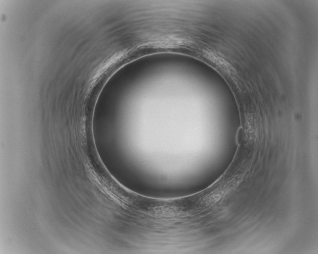 X0000060240535200510281121