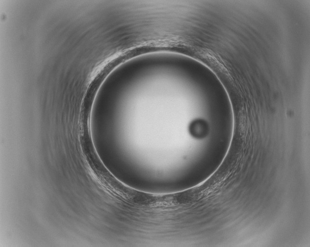 X0000060240536200510281121