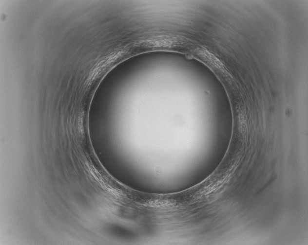 X0000060240537200510281121