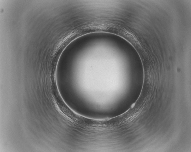 X0000060240538200510281121