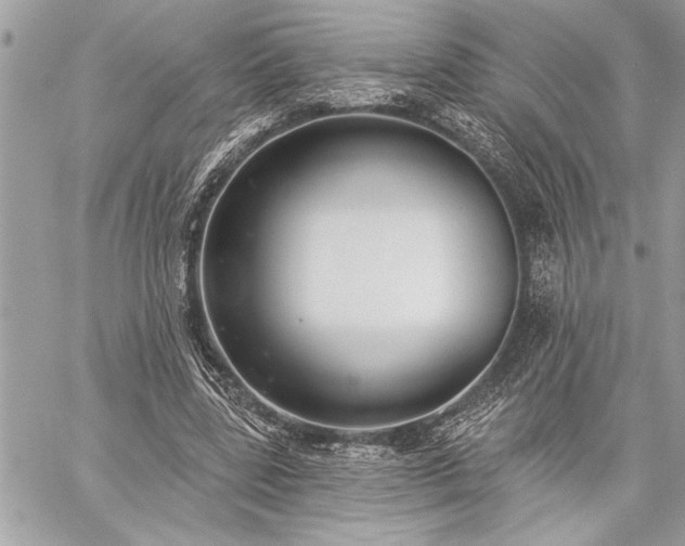 X0000060240539200510281121