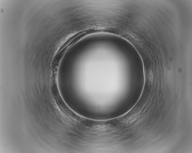 X0000060240540200510281121