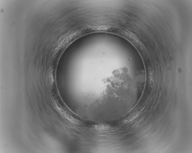 X0000060240541200510281121