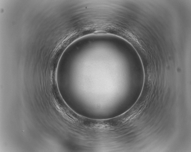 X0000060240542200510281121