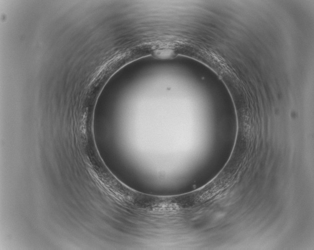 X0000060240543200510281121