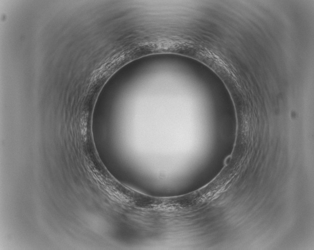 X0000060240545200510281121