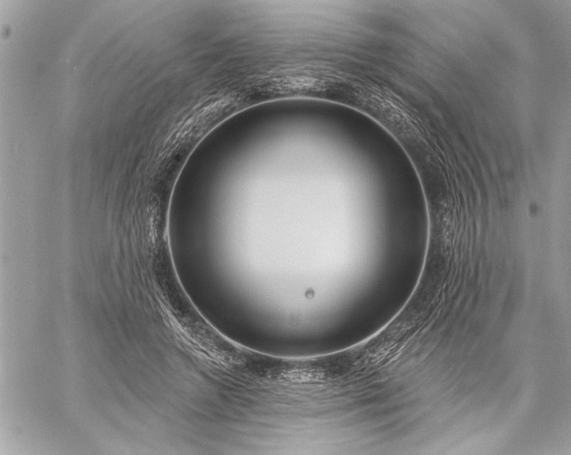 X0000060240546200510281121