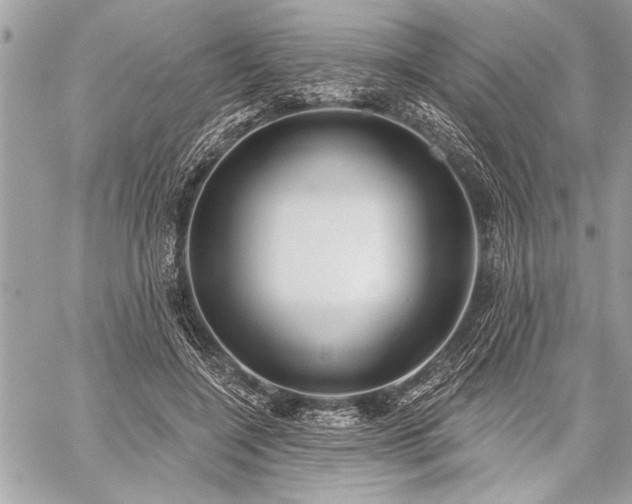 X0000060240548200510281121