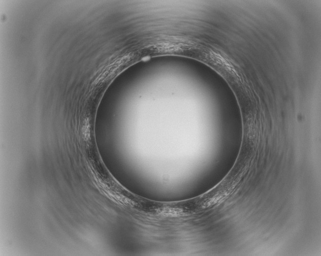 X0000060240549200510281122