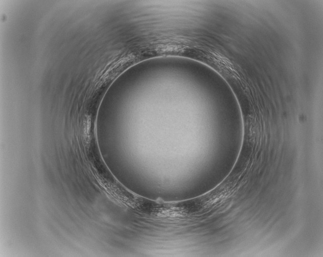 X0000060240550200510281122