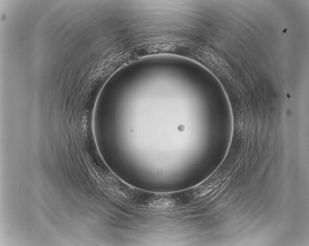 X0000060240551200510281122