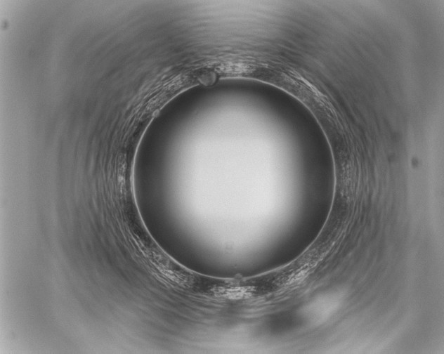 X0000060240553200510281122