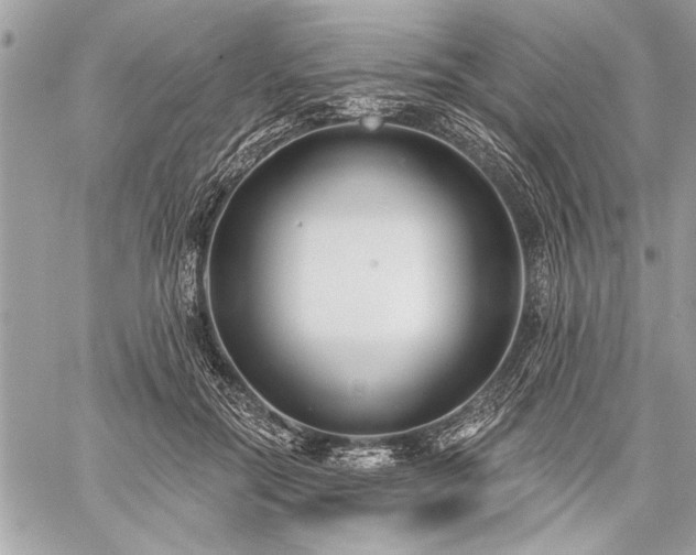 X0000060240554200510281122