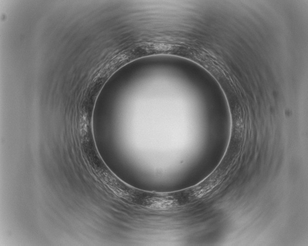 X0000060240555200510281122