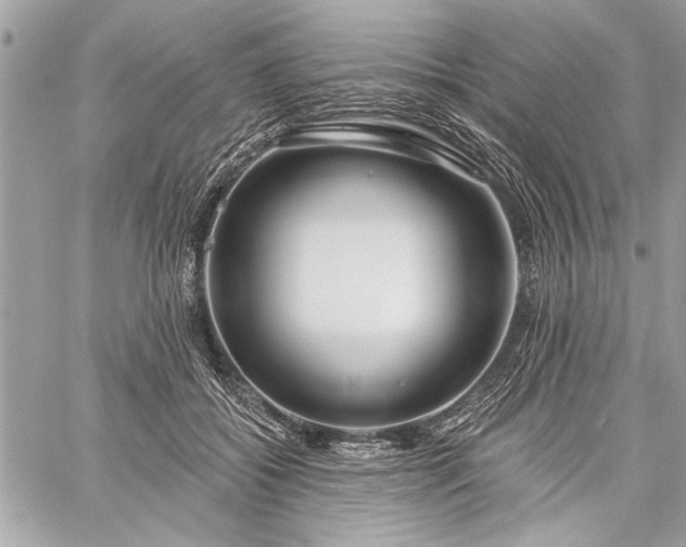 X0000060240556200510281122