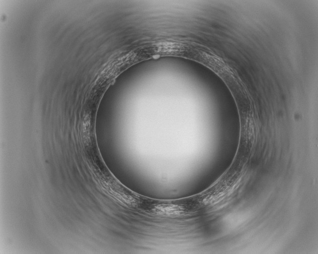 X0000060240557200510281122