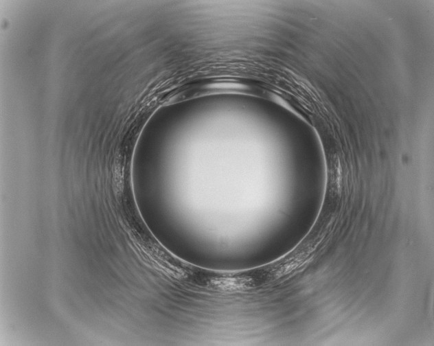 X0000060240558200510281122