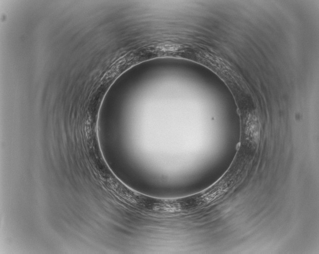 X0000060240559200510281122