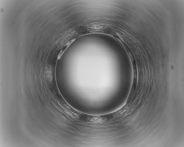 X0000060240562200510281122