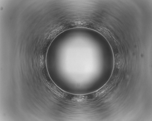 X0000060240563200510281122