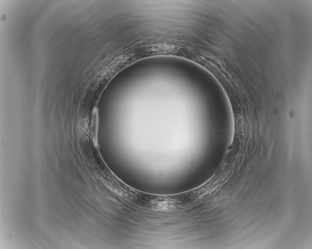 X0000060240564200510281122