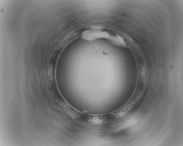 X0000060240565200510281122