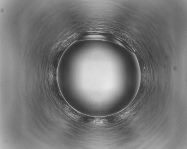 X0000060240566200510281122